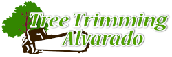 Tree Trimming Alvarado